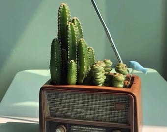 Vaso de suculentas em formato de rádio retrô – Decoração de mesa moderna de meados do século XX em estilo vintage