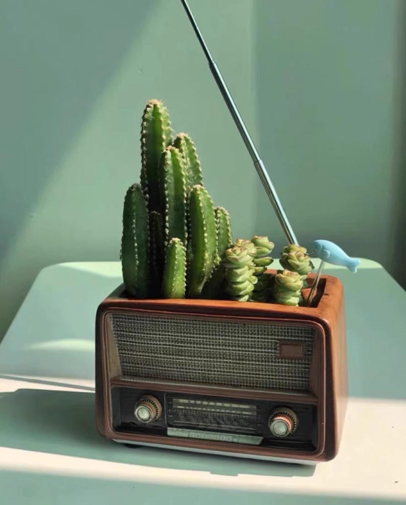 May include: A unique planter shaped like a vintage radio, made of brown wood. It features a green cactus and succulent arrangement, with a blue fish ornament and a silver antenna. The radio's speaker grill and control knobs are visible.