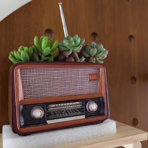 May include: A vintage-style radio planter with a brown wooden frame and a mesh speaker cover. The radio is filled with green succulents. The radio has two knobs and a silver antenna. The planter sits on a white foam base.