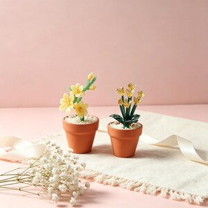 May include: Two small terracotta pots each hold a miniature flower arrangement. One features yellow flowers, the other has gold-colored blooms. Both are set on a cream-colored surface against a pink backdrop, evoking a sense of spring.