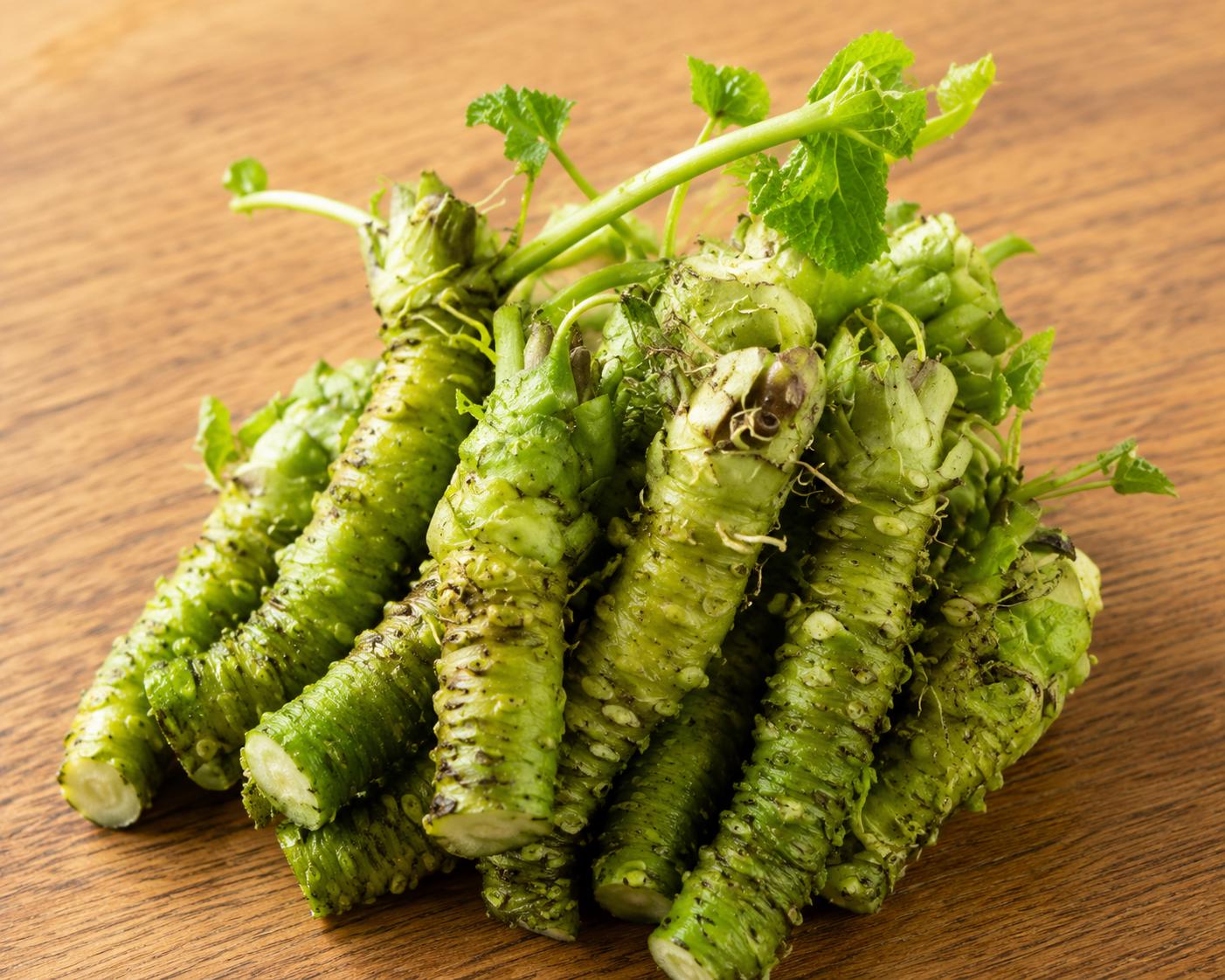 Wasabi Japonica Seed - Etsy