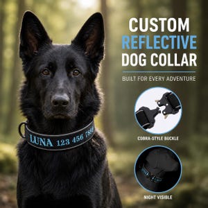 May include: A black dog collar with reflective trim, featuring the custom text LUNA 123 456 7899 in light blue. The collar includes a black metal cobra-style buckle and is shown on a black dog, highlighting its visibility in low light conditions.