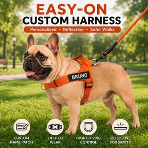 Puede incluir: Un arnés naranja personalizado para perros con el nombre "BRUNO". El arnés está en un bulldog francés marrón claro sobre hierba verde. El texto "EASY-ON CUSTOM HARNESS" está en la parte superior de la imagen, con iconos de características.