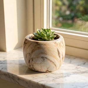May include: A small, round, marble-patterned planter with swirling beige, brown, and white tones. The planter contains a single, vibrant green succulent plant with tightly packed, pointed leaves arranged in a symmetrical rosette pattern.