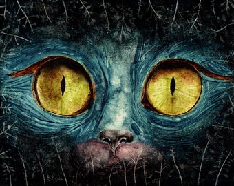 Art print / Cat - eyes / "Occi"