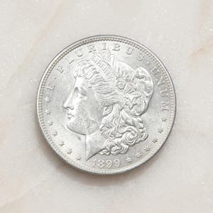 May include: A silver-colored 1899 Morgan silver dollar coin featuring the profile of Lady Liberty facing left, wearing a cap with the word LIBERTY inscribed. The text E PLURIBUS UNUM and thirteen stars encircle the central portrait design.