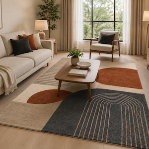 May include: A rectangular area rug featuring a geometric pattern with large terracotta orange circles, a dark charcoal gray arched design with thin parallel lines, and beige sections. The rug has a textured pile and a neutral color palette.