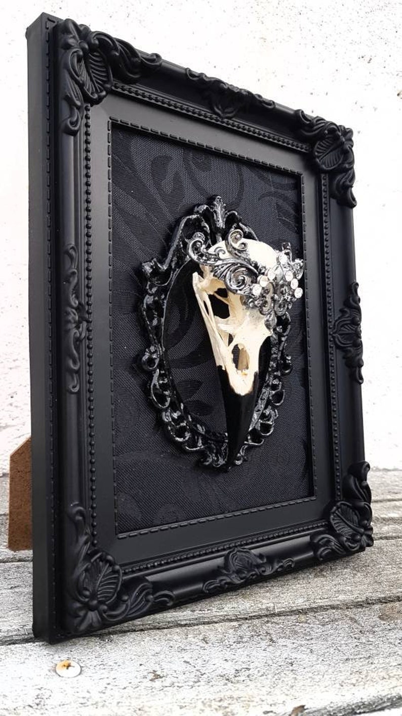 Framed Crow Skull Taxidermy, wall picture hanging, bird skull, Victorian macabre frame, Gothic home decoration Halloween Christmas Valentine 