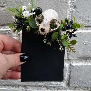 May include: A small white animal skull with black and white flowers on a black background.