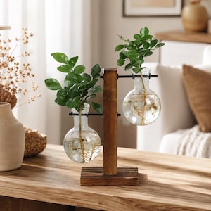 Peut inclure: Une station de bouturage composée d'un support en bois brun foncé avec une base rectangulaire et un montant vertical. Deux vases en verre transparent en forme d'ampoule sont suspendus par des tiges métalliques noires, contenant de l'eau.
