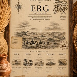 May include: A framed vintage-style poster titled LES MOTS DU DÉSERT featuring a central illustration of sand dunes and a camel caravan. The print includes a compass rose, botanical sketches, and definitions of desert terms in French with a beige background.