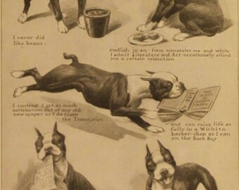 retro boston terrier