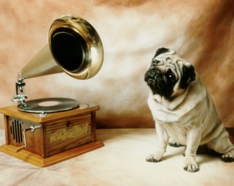 Vintage Pug with Record Player Decoupaged on Wood