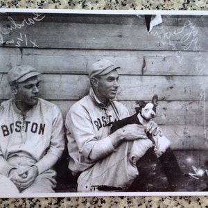 Vintage Boston Terriers and Boston Red Sox Print Decoupaged On Wood image 3
