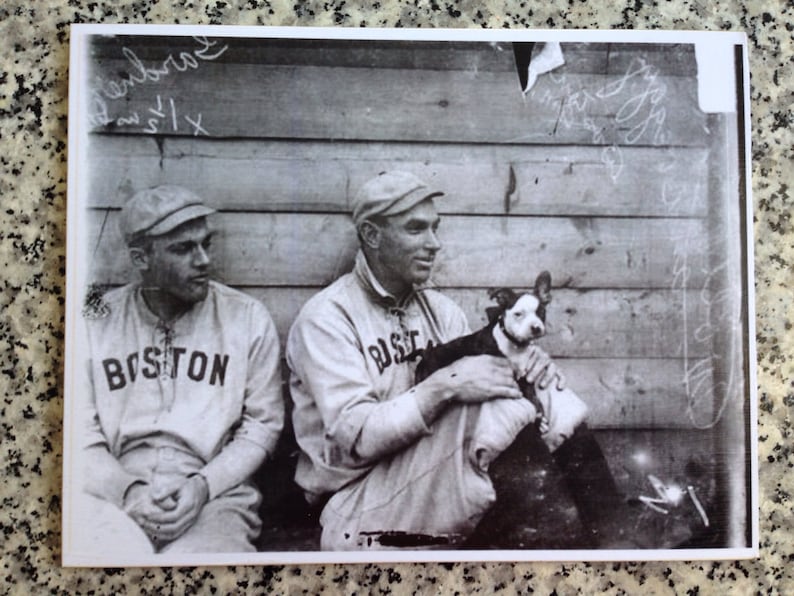 Vintage Boston Terriers and Boston Red Sox Print Decoupaged On Wood image 3