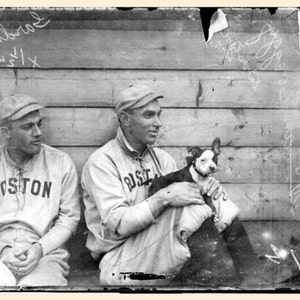 Vintage Boston Terriers and Boston Red Sox Print Decoupaged On Wood image 1