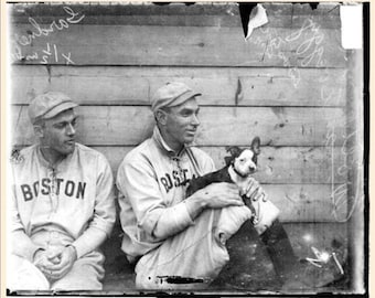 Vintage Boston Terriers and Boston  Red Sox  Print Decoupaged On Wood