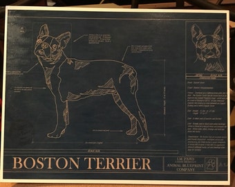 Boston Terrier Blueprint  Print Decoupaged on Wood