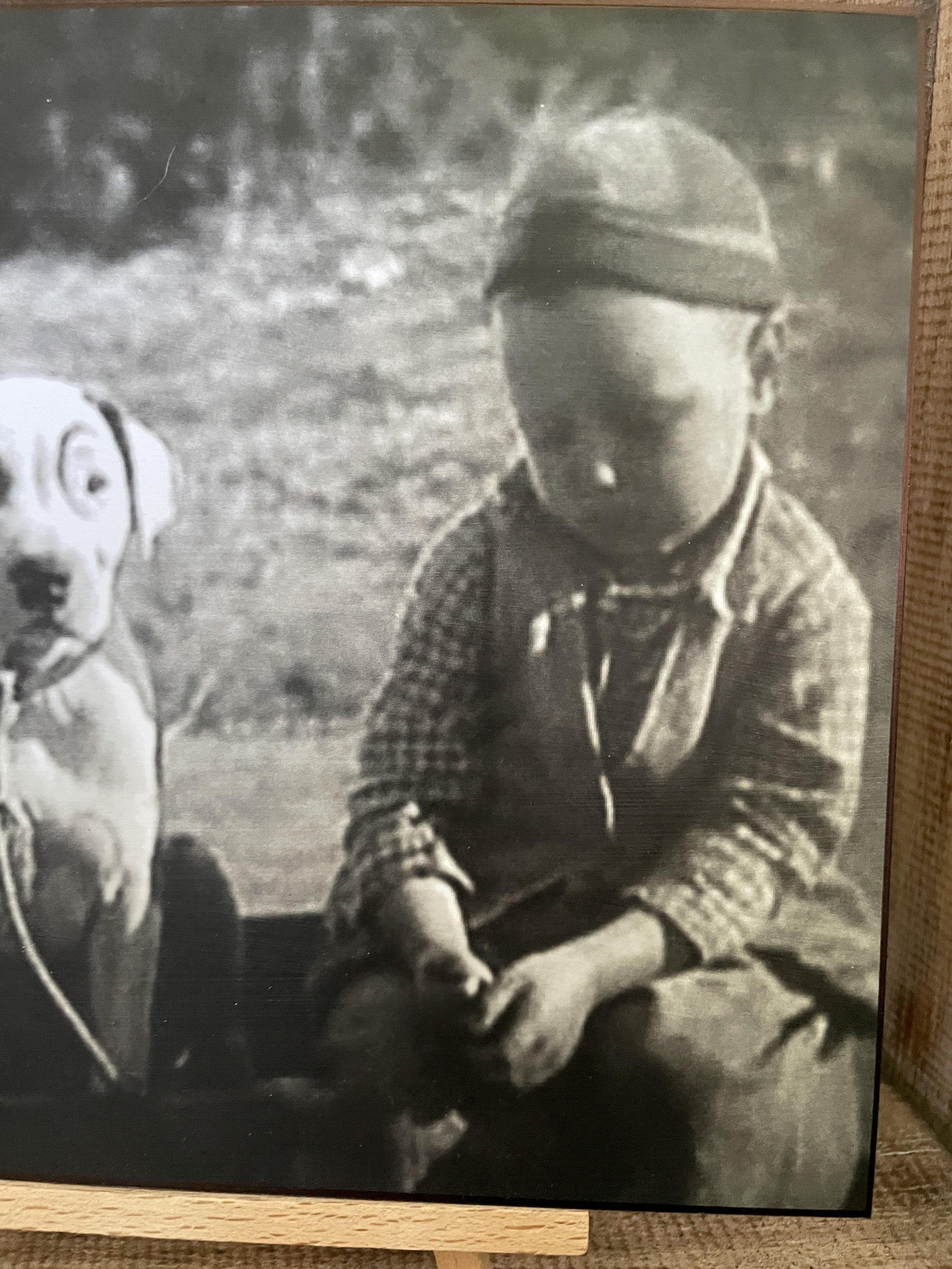 Petey From the Little Rascals Pitbull Print Decoupaged on Wood - Etsy