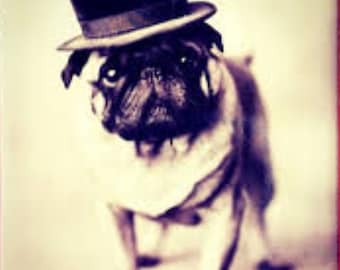 Pug Wearing Top Hat Print  Decoupaged on Wood