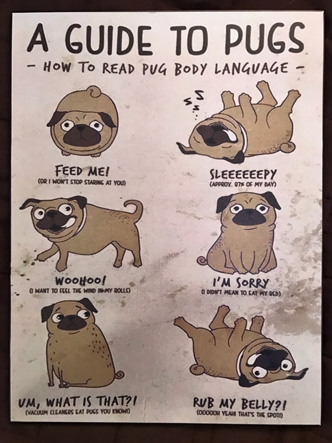 A Guide to Pugs Decoupaged on Wood