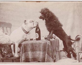 Vintage  English Bulldog and Poodle on Date Photo Decoupaged on Wood