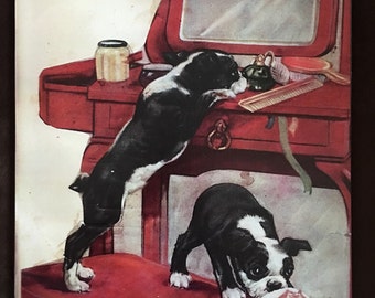 Vintage Print of Two Boston Terriers Playing  Decoupaged on Wood