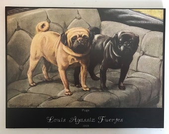 Two  Pugs Print from 1919 Decoupaged on Wood