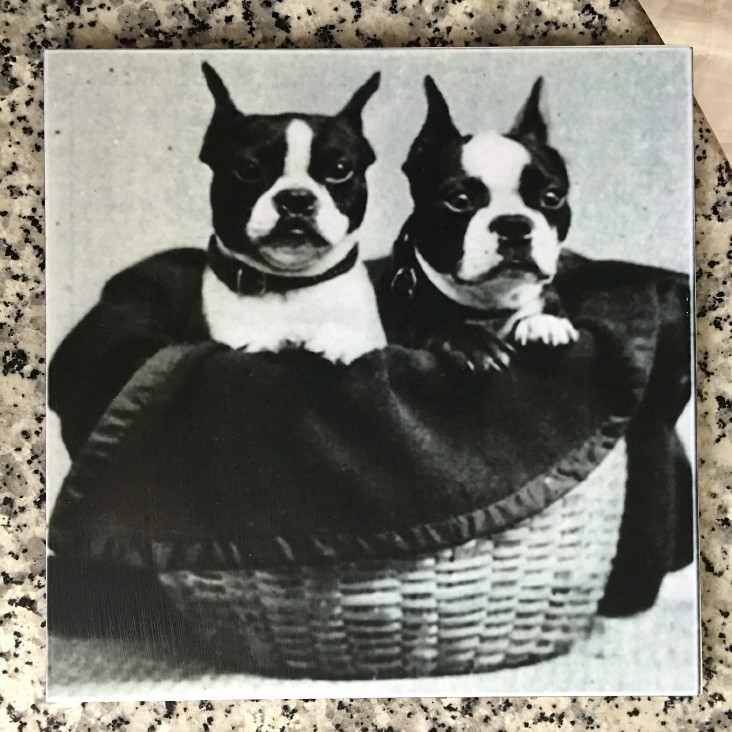 Society6 ケース Boston Terrier by Anne Was Here Society6 ケース Boston Terrier by Anne Was Here Custom