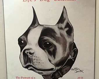 Boston Terrier "Life's Dog Calendar" Art Print Decoupaged on Wood