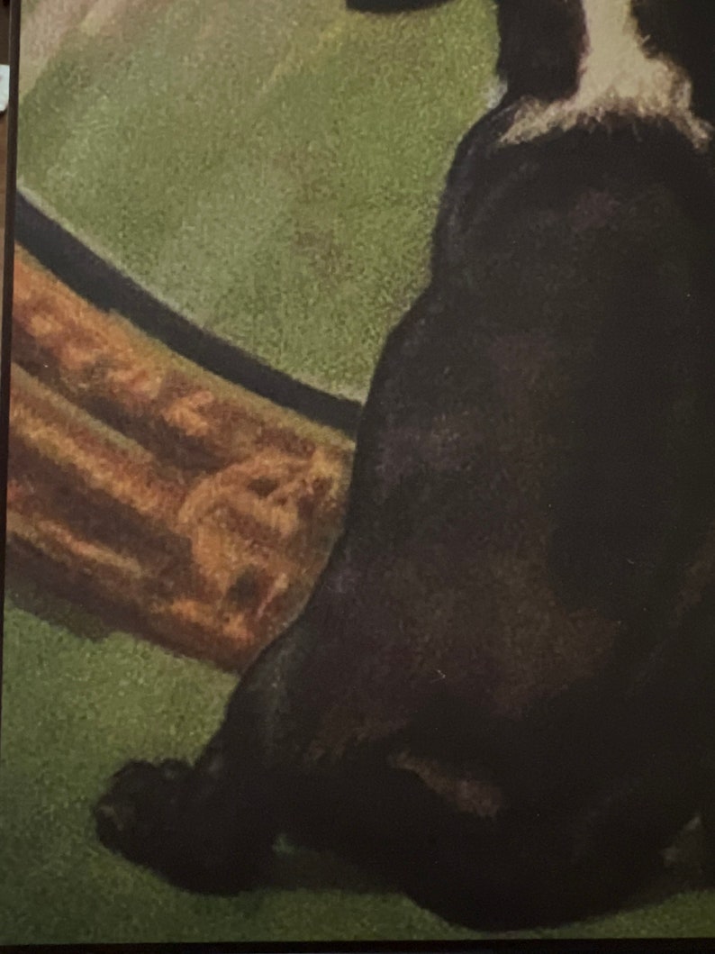 Vintage Boston Terrier Looking In Mirror Print Decoupaged on Wood image 5