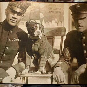 Vintage Dog in Military Print Decoupaged on Wood - Etsy