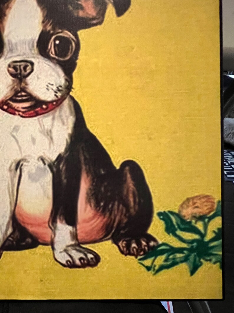 Vintage Playful Little Dog Boston Terrier Print Yellow Decoupaged On Wood image 7