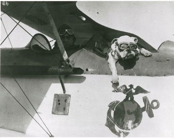 Vintage  English Bulldog in Military Plane Photo Decoupaged on Wood