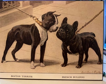 Boston Terrier Meets French Bulldog Vintage Photo Decoupaged on Wood