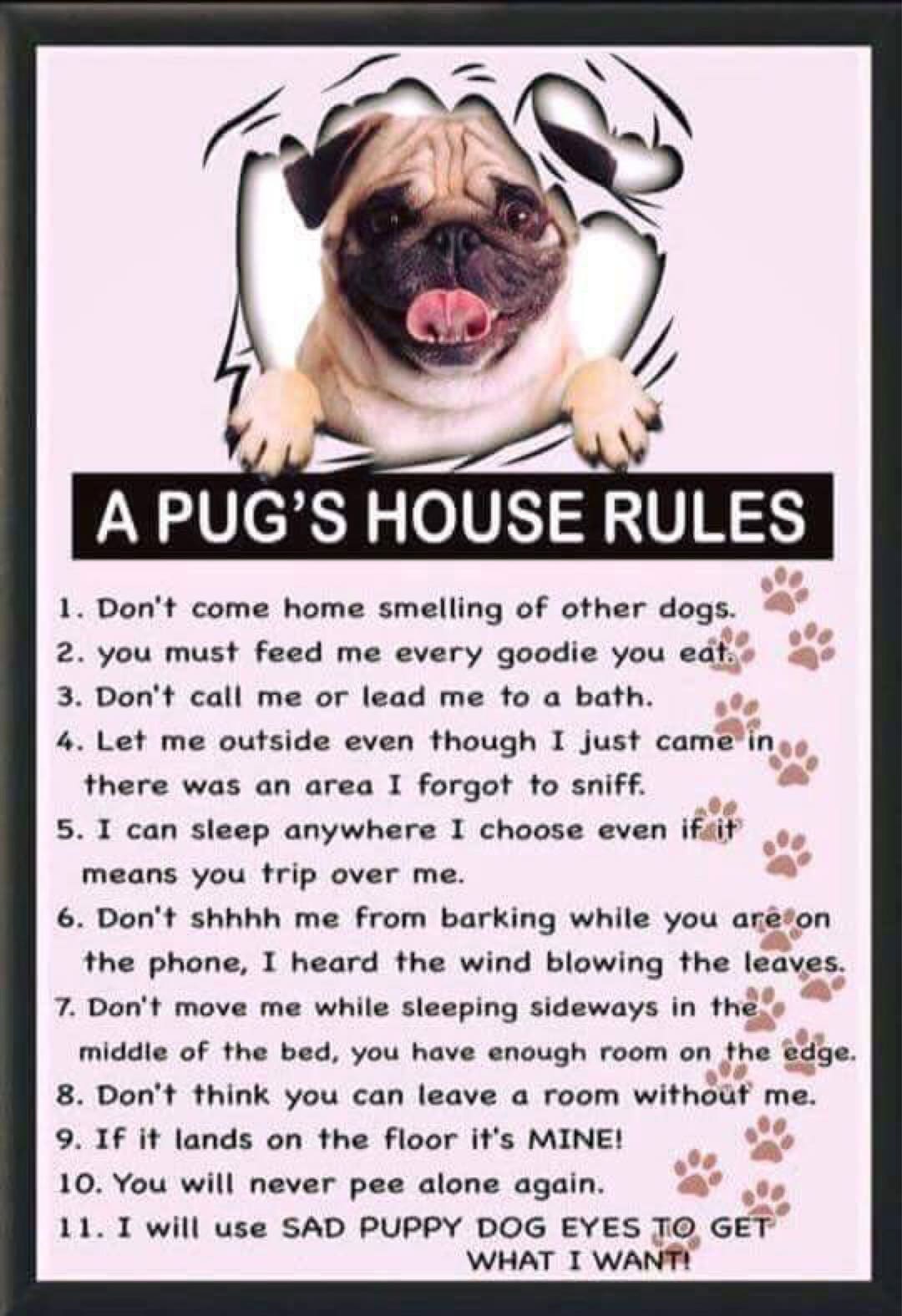 Pug House Rules Print Decoupaged on Wood Etsy
