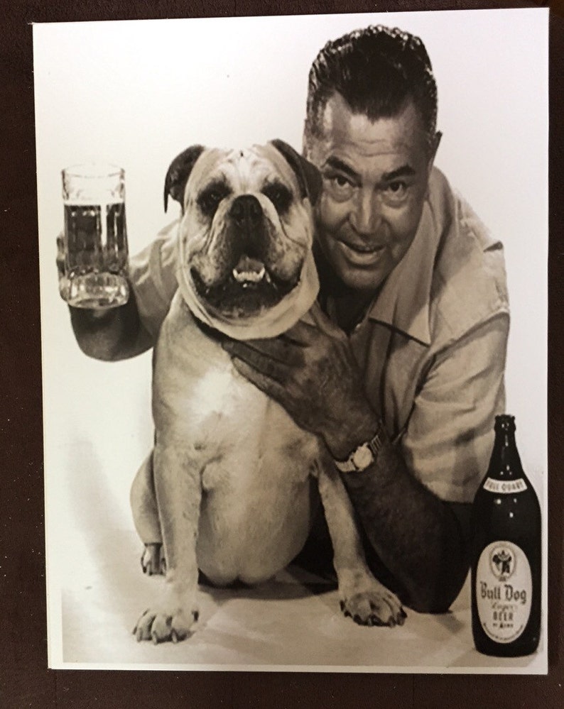 English Bulldog Beer Photo Decoupaged on Wood Etsy