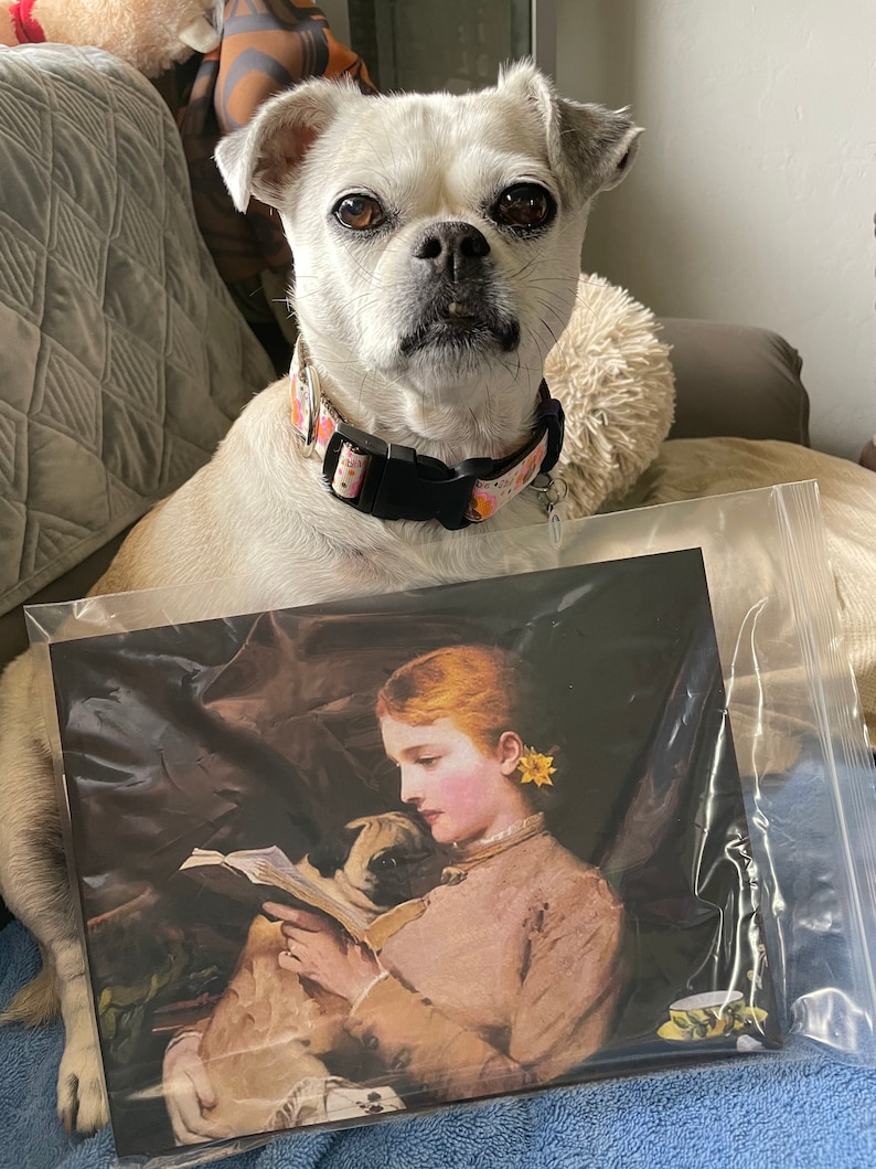 Vintage Woman Reading a book with Pug Print Decoupaged on Wood image 6
