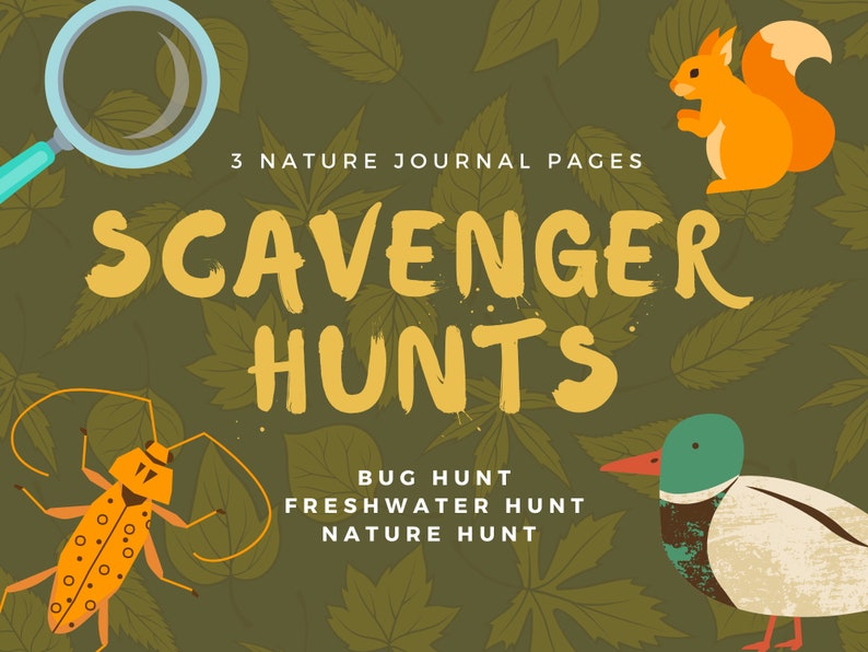 Nature Scavenger Hunt, Bug Hunt, Pond Freshwater Hunt, Hiking, Camping, Birthday game printable for kids or homeschool image 2