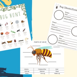 Bug Nature Journal pages and activities, bug scavenger hunt, bug identification, parts of an insect activity sheet, digital download