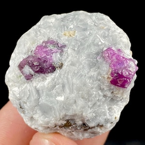 May include: A rough, rounded mineral specimen featuring a pale, translucent white crystalline matrix with two prominent, embedded magenta-colored crystals. The surface texture is irregular and faceted, showcasing natural mineral formations.