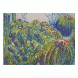 Original Pastell Sukkulenten Gemälde von Niki Hilsabeck