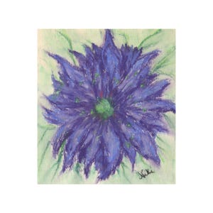 Miniatura floreale originale in pastello, fiore viola e blu della California, di Niki Hilsabeck