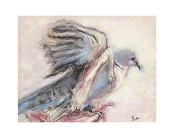 Desenho original em pastel seco de uma pomba-turca com asas de anjo, em estilo impressionista decorativo.