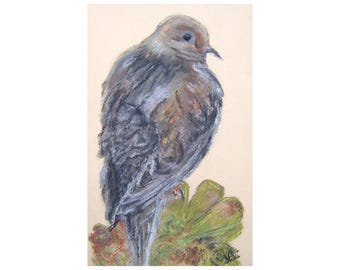 Impresionismo decorativo Pájaro Paloma Dibujo original al pastel suave Arte de la naturaleza sobre papel