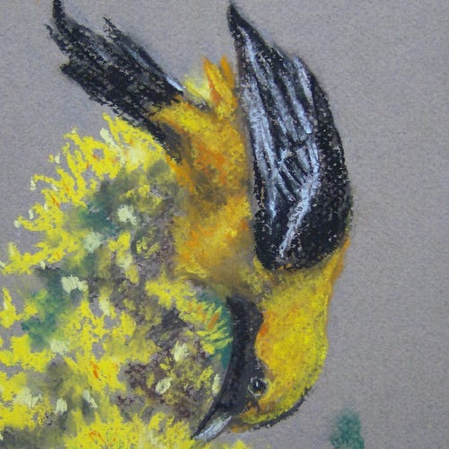 装飾的な印象派の鳥、鳩、オリジナルのソフトパステル画、紙に描かれた