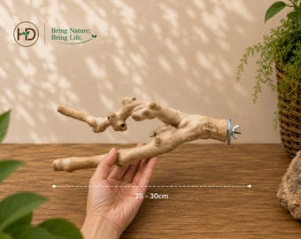 Pode incluir: Poleiro de madeira natural para pássaros, com cerca de 25-30 cm de comprimento, com suporte de montagem em metal. O poleiro é castanho claro e tem uma superfície texturizada. O texto "Bring Nature. Bring Life." é visível.