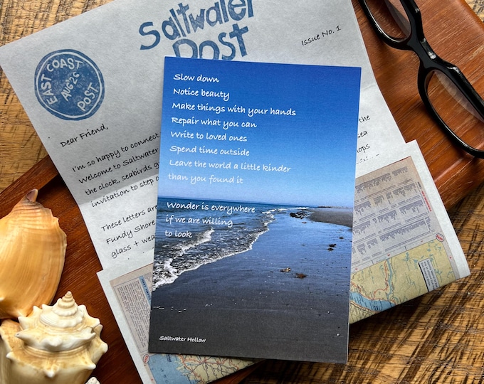 Saltwater Hollow Snail Mail Club, East Coast Art, Postcards, Stickers, Bookmark (3 Envelopes)
