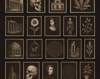 Könnte beinhalten: Eine Sammlung von Sepia-Kunstdrucken mit verschiedenen Motiven. Die Drucke zeigen architektonische Strukturen, botanische Illustrationen, menschliche Anatomie, Porträts, einen Schädel und einen Schmetterling in einer Glaskuppel. Die Drucke sind auf dunklem Hintergrund angeordnet.