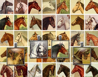 Printable Vintage Horses Digital Collage Sheet, 1 Inch squares, JPG, PDF  Instant Download  Downloadable, Commercial use, Cu use ok